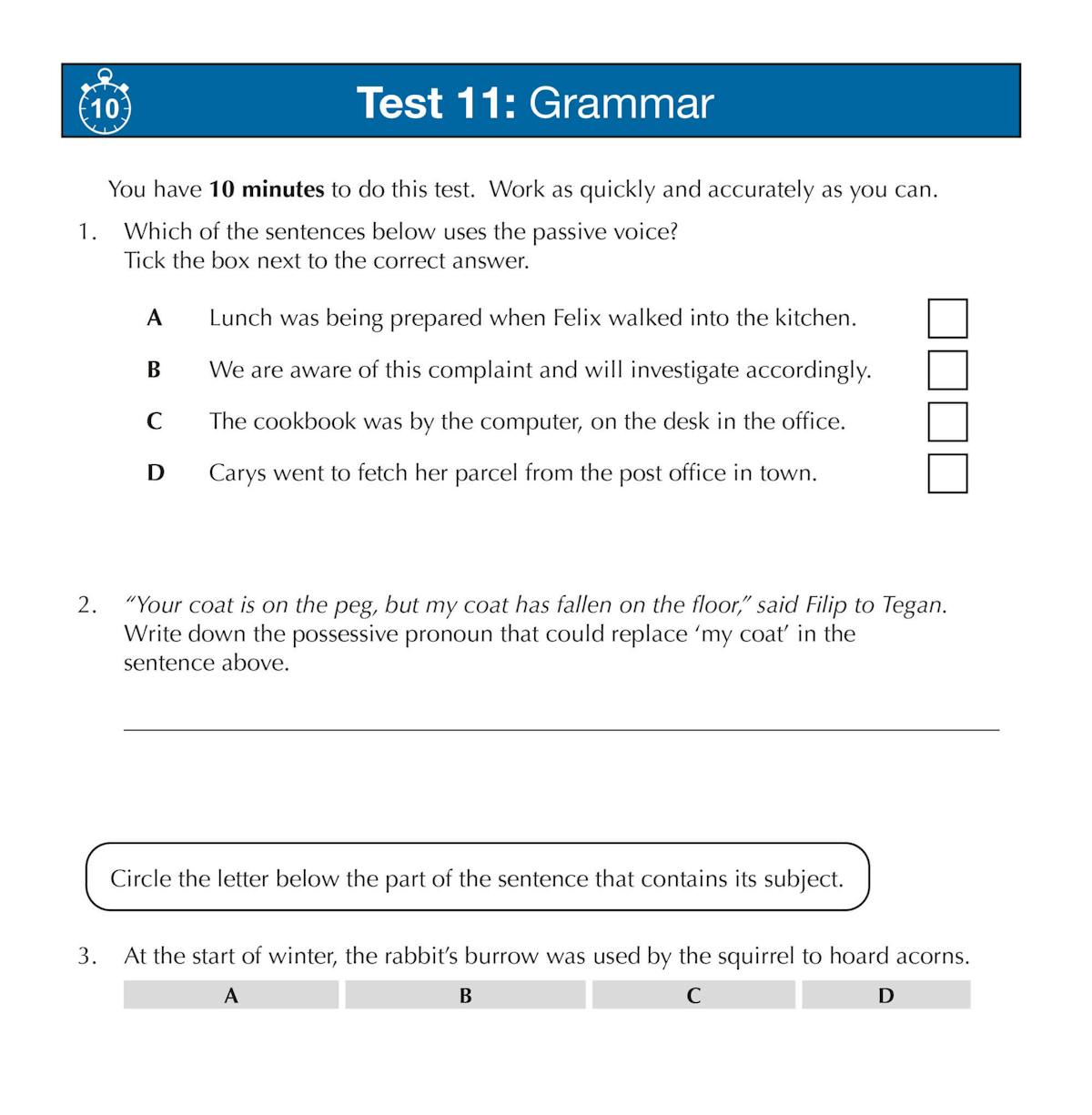 Sample test page showing grammar questions including passive voice, possessive pronouns, and sentence subjects