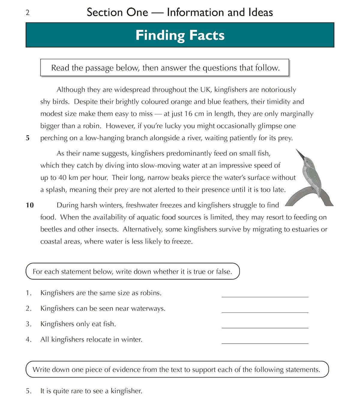 Sample comprehension passage about kingfishers with finding facts questions