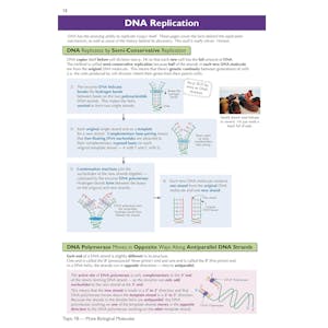 A-Level Biology: AQA Year 1 & AS Complete Revision & Practice with Online Edition Look Inside Image 4
