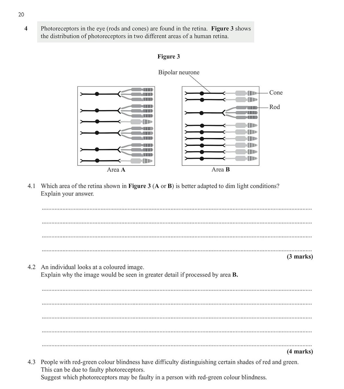 Sample question page from the AQA A-Level Biology Year 2 workbook showing exam-style questions on organisms and responses