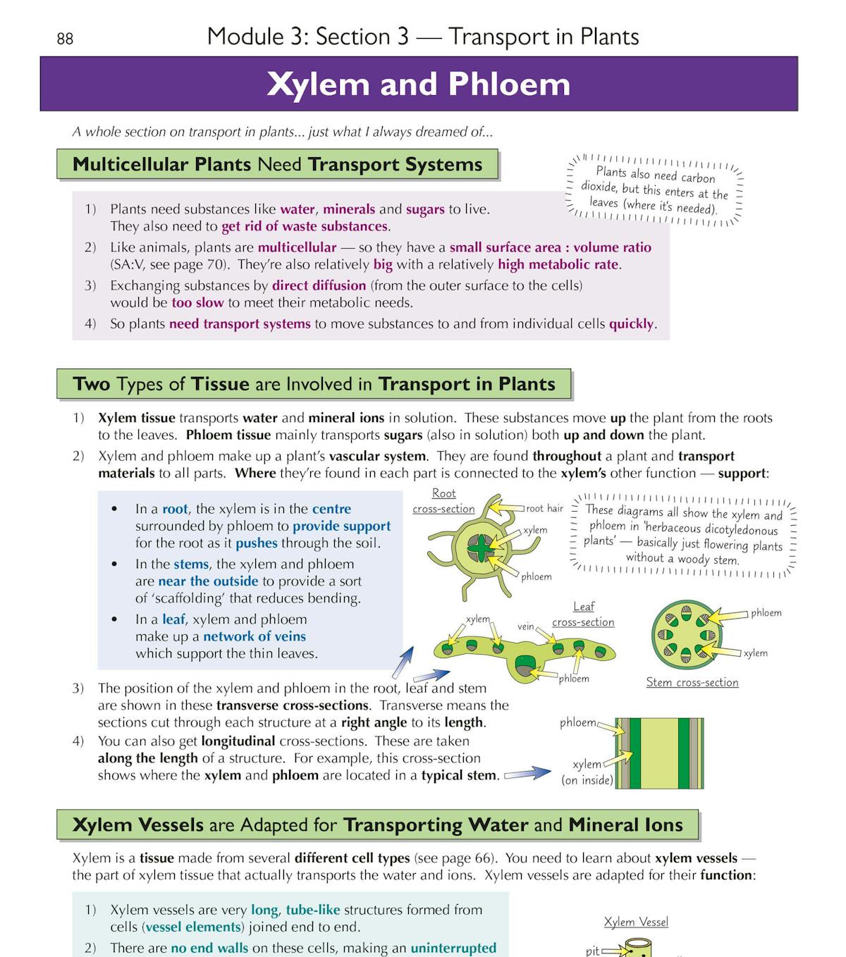 Inside page displaying structured content on xylem and phloem with labelled cross-section diagrams