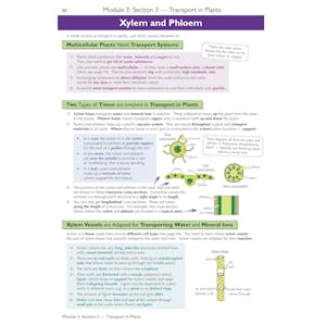 A-Level Biology: OCR A Year 1 & 2 Complete Revision & Practice w/Online Ed (For exams from 2026) Look Inside Image 4