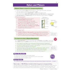 A-Level Biology: OCR A Year 1 & 2 Complete Revision & Practice w/Online Ed (For exams from 2026) Look Inside Image 5