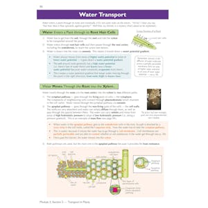 A-Level Biology: OCR A Year 1 & 2 Complete Revision & Practice w/Online Ed (For exams from 2026) Look Inside Image 6