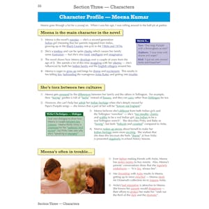 Anita and Me Text Guide (Ages 14-16) Look Inside Image 3