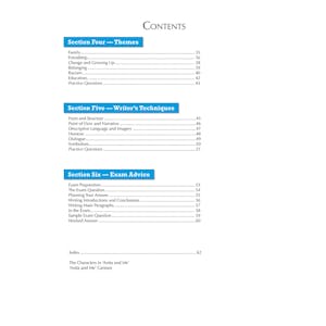 Anita and Me Text Guide (Ages 14-16) Look Inside Image 2