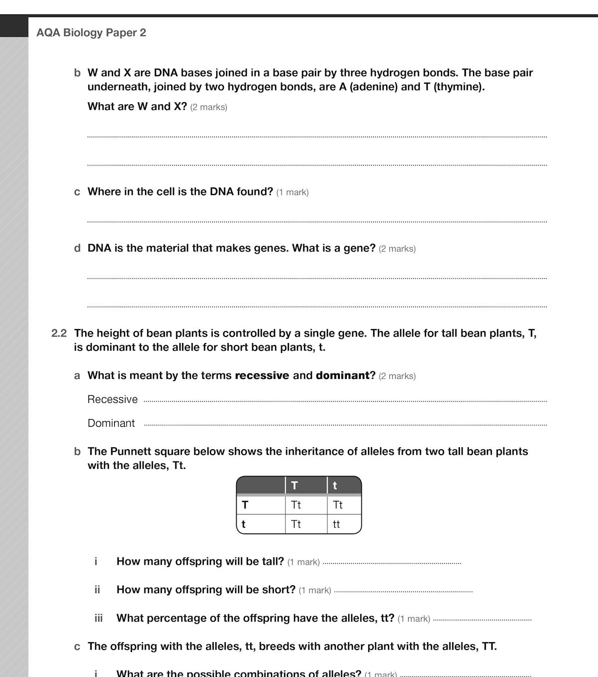 Practice exam questions on genetics including Punnett squares and inheritance