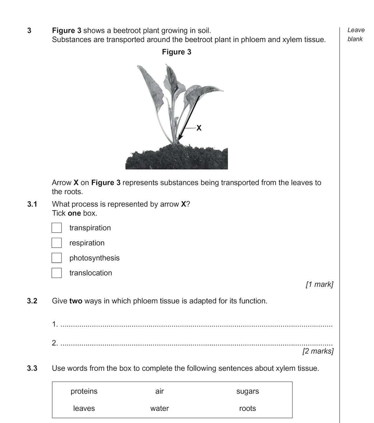 Sample Biology Foundation practice paper showing palisade cell diagram question