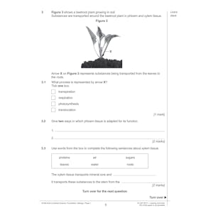 AQA GCSE Combined Science Practice Papers Foundation Pack 2 (Ages 15-16) Look Inside Image 4