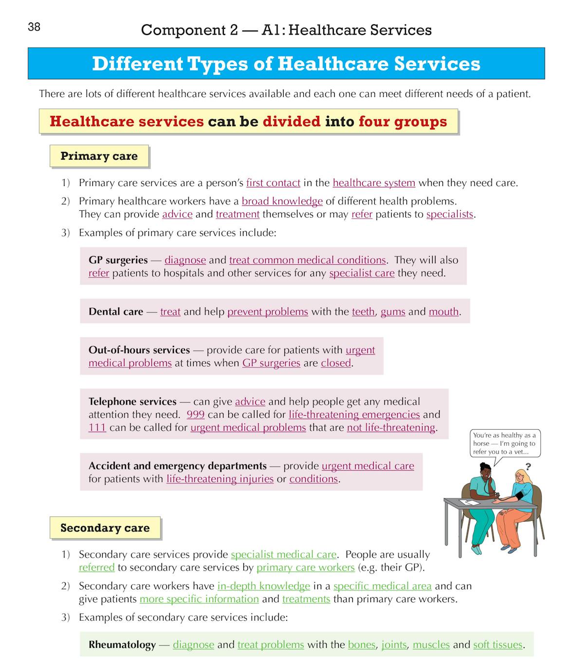 Sample page displaying healthcare services content with diagrams and highlighted key terms