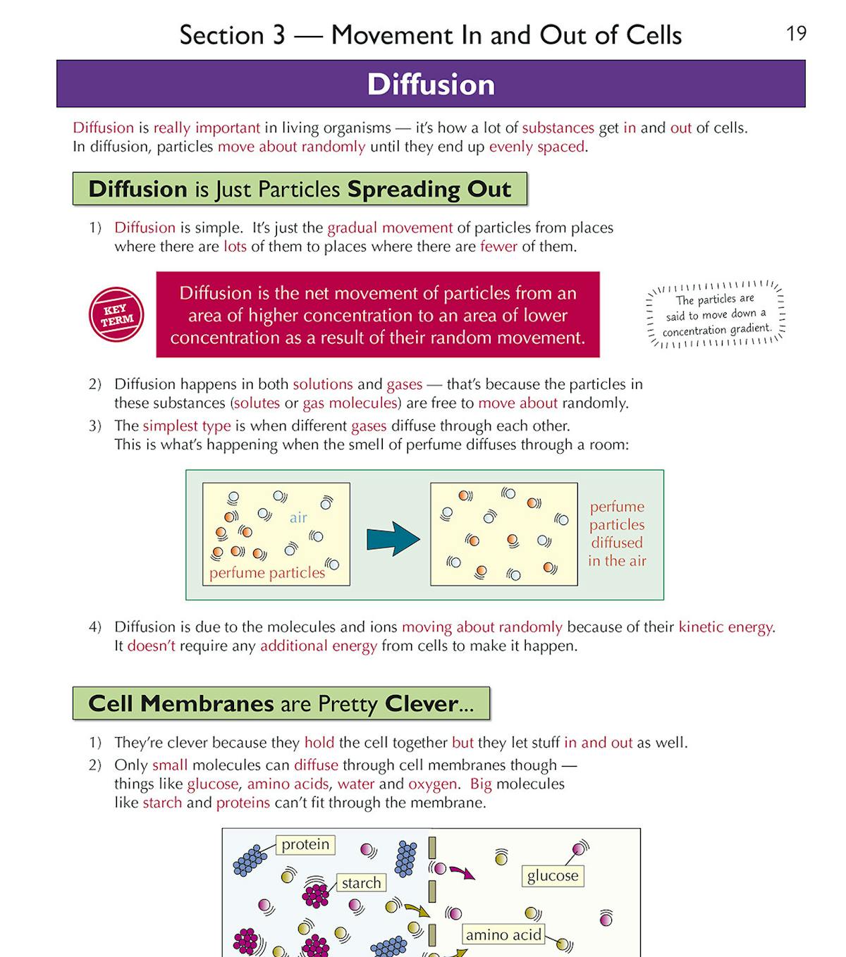 Sample page showing diffusion topic with diagrams and colour-coded explanations