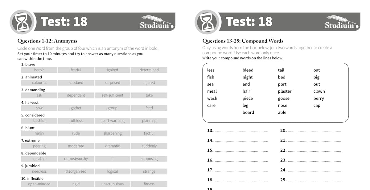 Sample test page showing antonyms and compound words questions with timer icon