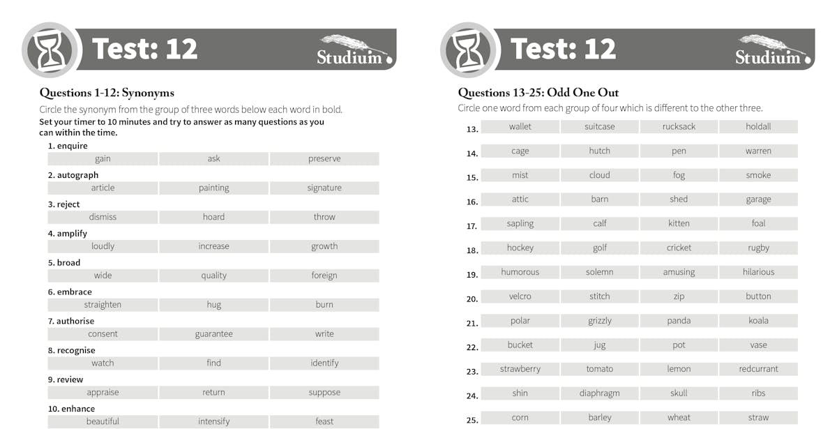 Sample test pages showing synonyms and odd one out questions from Test 12