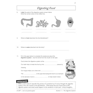 eBay Year 4 Complete Pack Look Inside Image 63