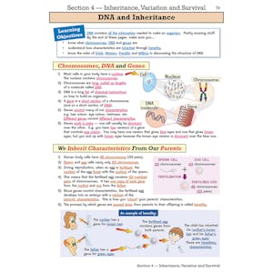 eBay Year 9 Complete Pack Look Inside Image 18