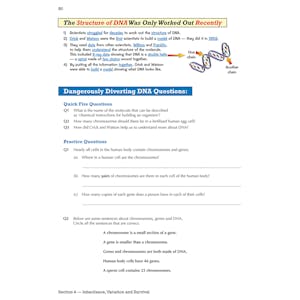 eBay Year 9 Complete Pack Look Inside Image 19