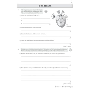 Edexcel International GCSE Biology: Exam Practice Workbook (includes Answers) Look Inside Image 6