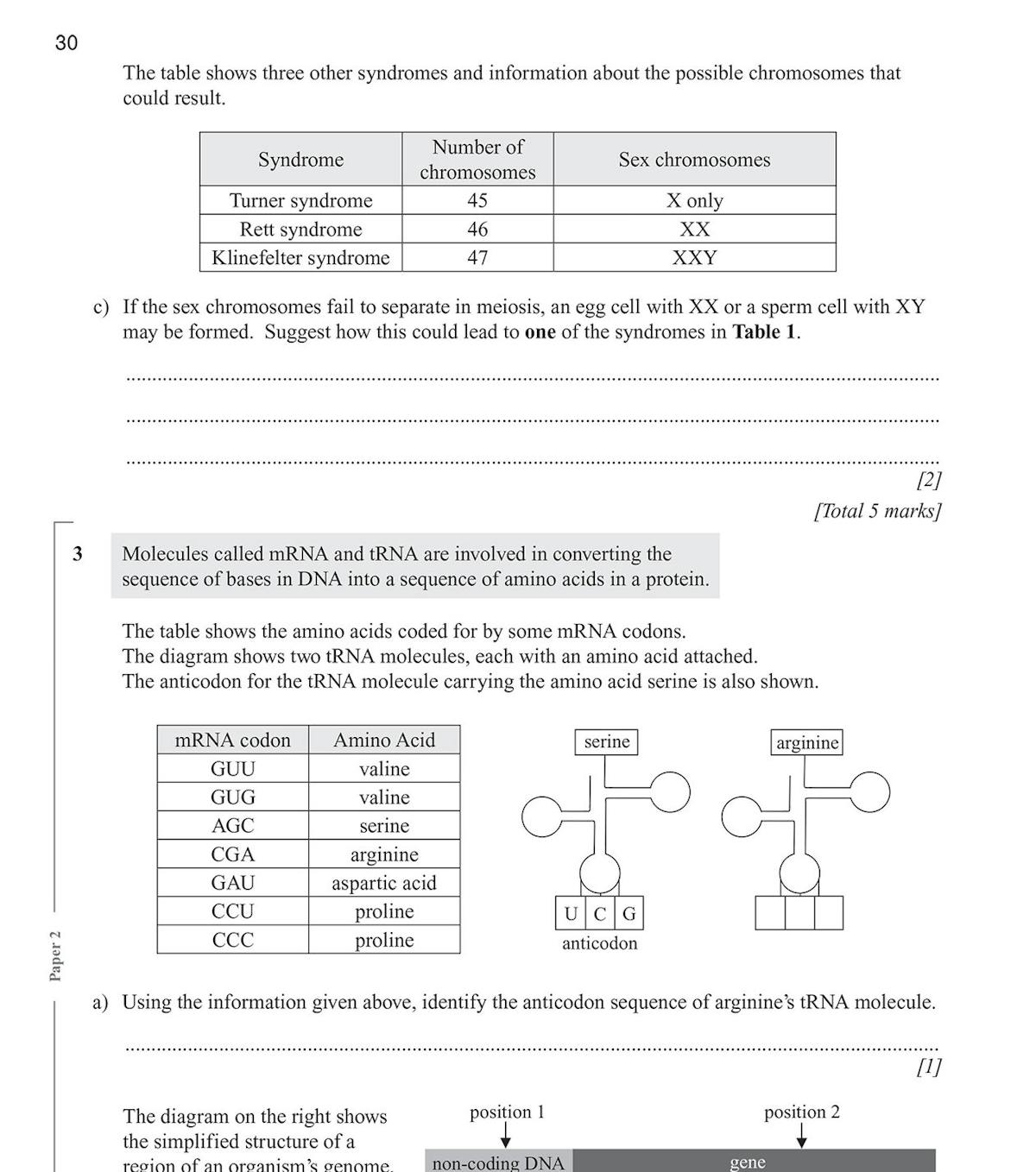 Detailed exam question on protein synthesis, DNA and amino acids