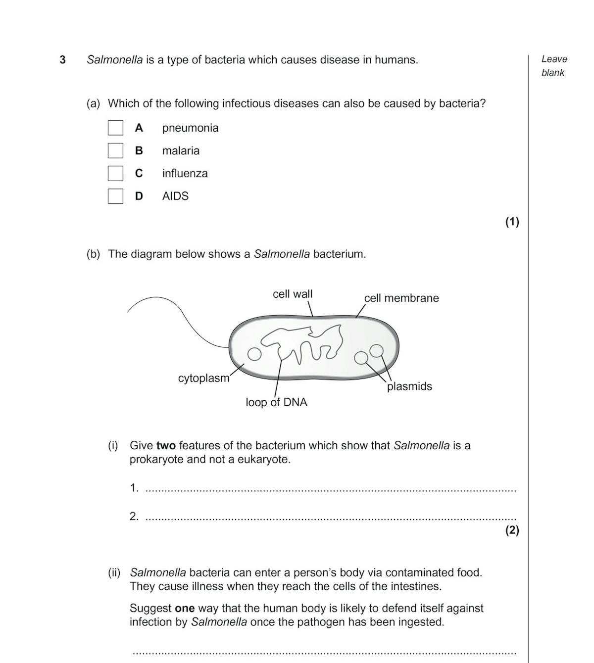 Bacterium diagram question with cell structures labelled and space for written responses