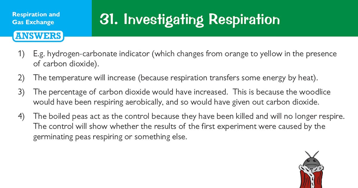 Sample card showing Quick Questions and Now Try These on gas exchange in flowering plants