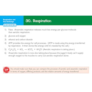 Edexcel International GCSE Biology: Revision Question Cards Look Inside Image 2