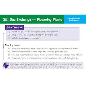 Edexcel International GCSE Biology: Revision Question Cards Look Inside Image 5