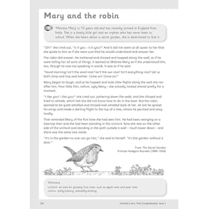 First Comprehension Workbook 2 (Ages 5-7) Look Inside Image 3