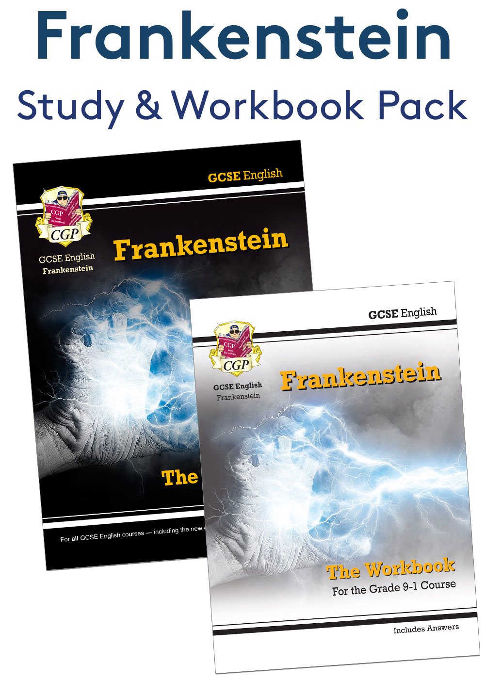 Frankenstein Study & Workbook Pack (Ages 14-16)