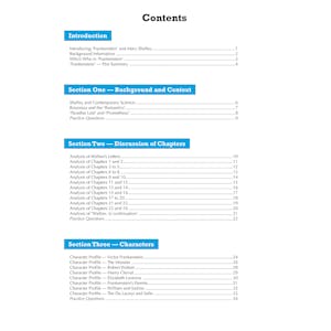 Frankenstein Text Guide (Ages 14-16) Look Inside Image 1