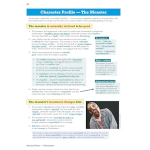 Frankenstein Text Guide (Ages 14-16) Look Inside Image 5