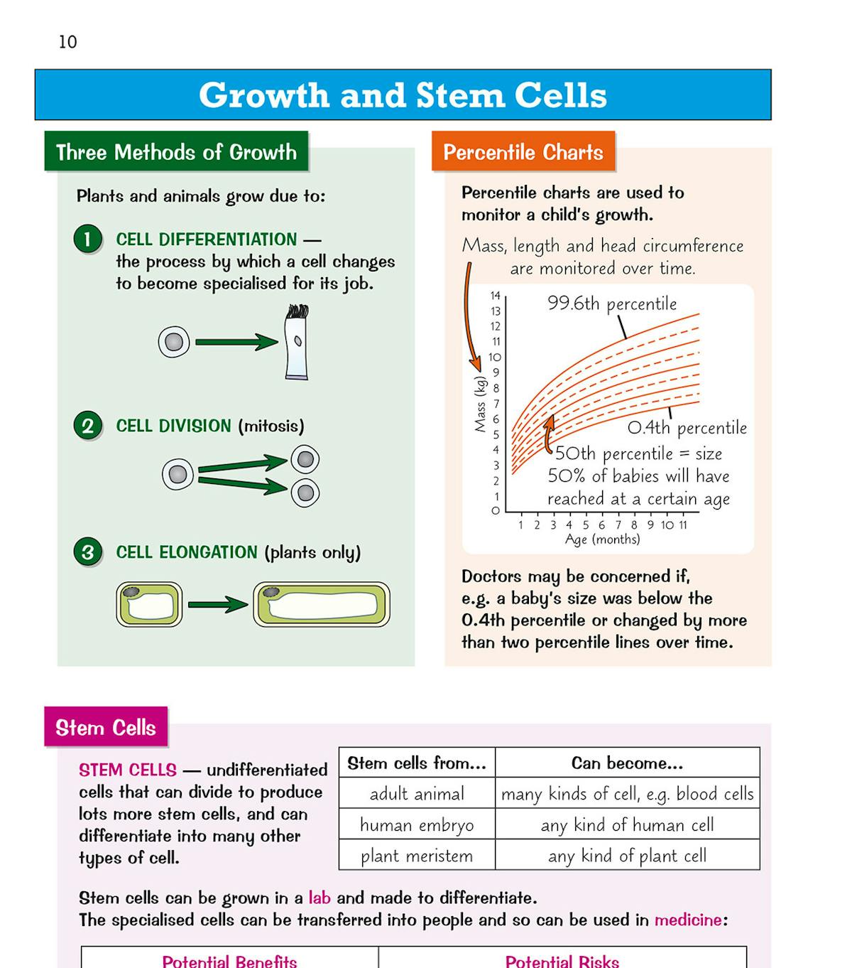 Growth and Stem Cells spread showing cell differentiation, division and elongation diagrams plus percentile charts