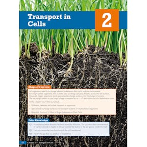 GCSE Biology for AQA: Student Book (with Online Edition) Look Inside Image 4