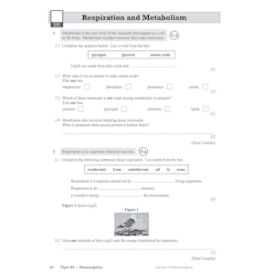 GCSE Combined Science AQA Complete Pack - Foundation Tier (Ages 14-16) Look Inside Image 39