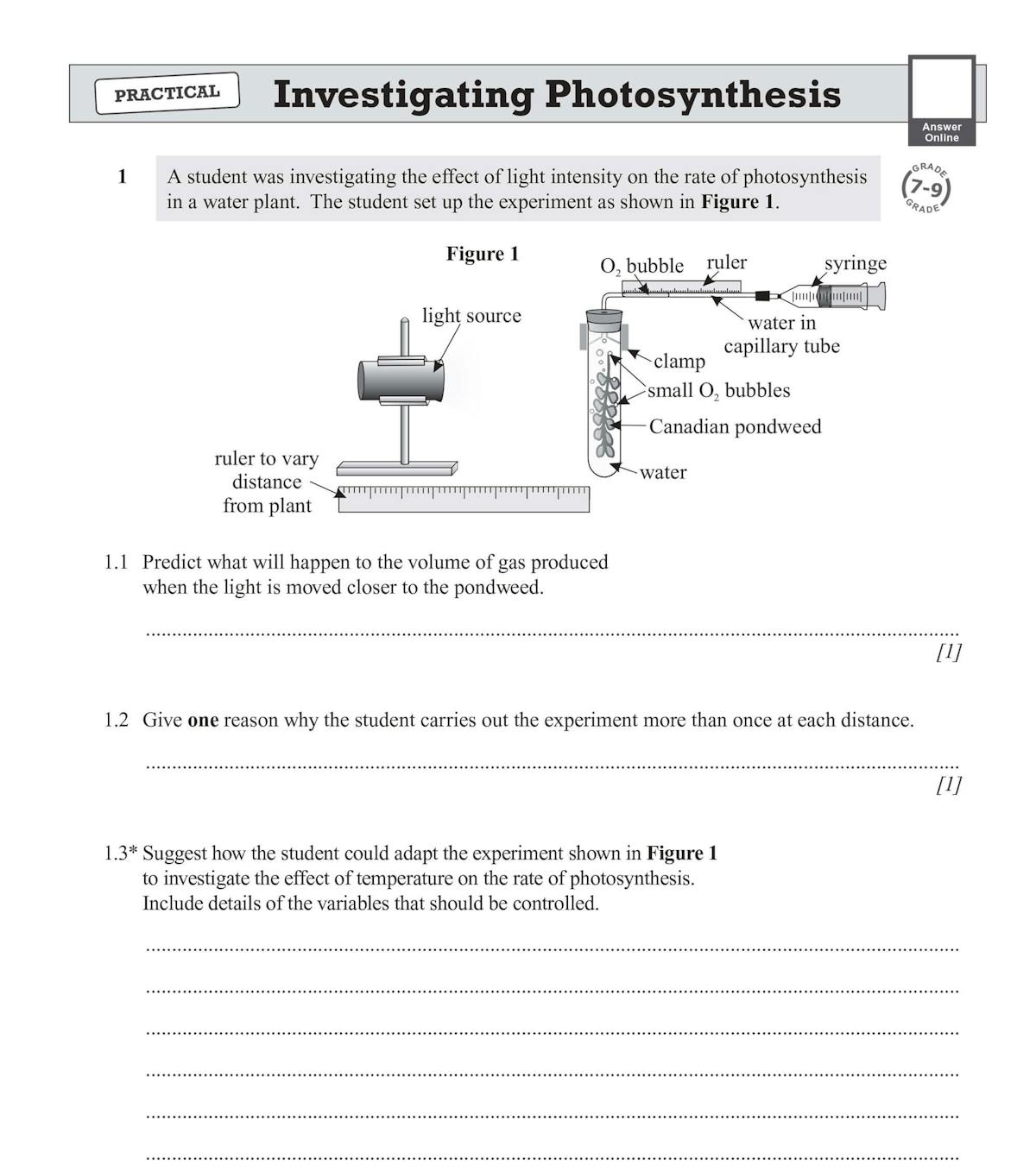 Practical investigation questions on photosynthesis experiment
