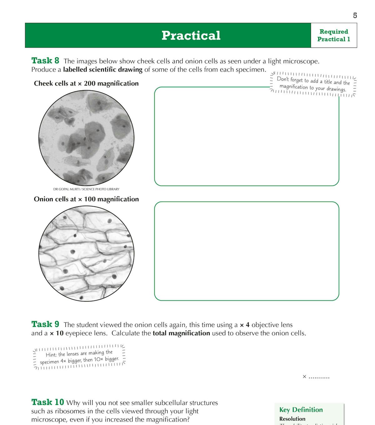 Practical task pages with microscope images, scientific drawing boxes, and calculation questions