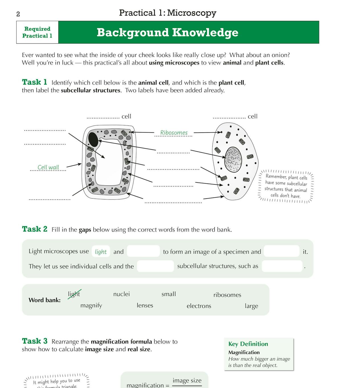 Sample pages showing background knowledge tasks and practical guidance for microscopy