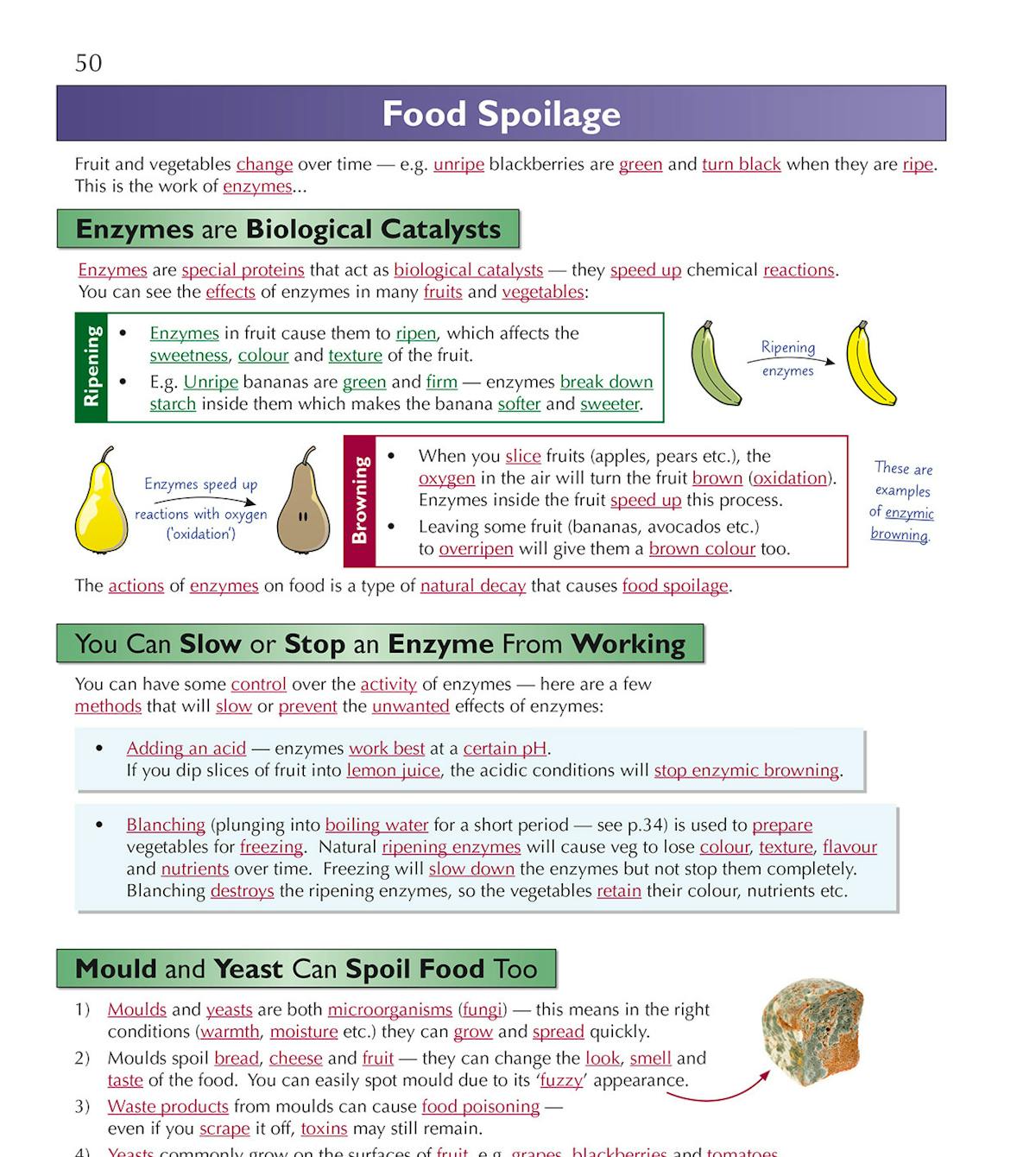 Inside page on food spoilage continued, showing enzyme activity and prevention methods