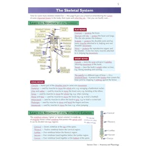 GCSE Physical Education Complete Revision & Practice (Ages 14-16) Look Inside Image 4