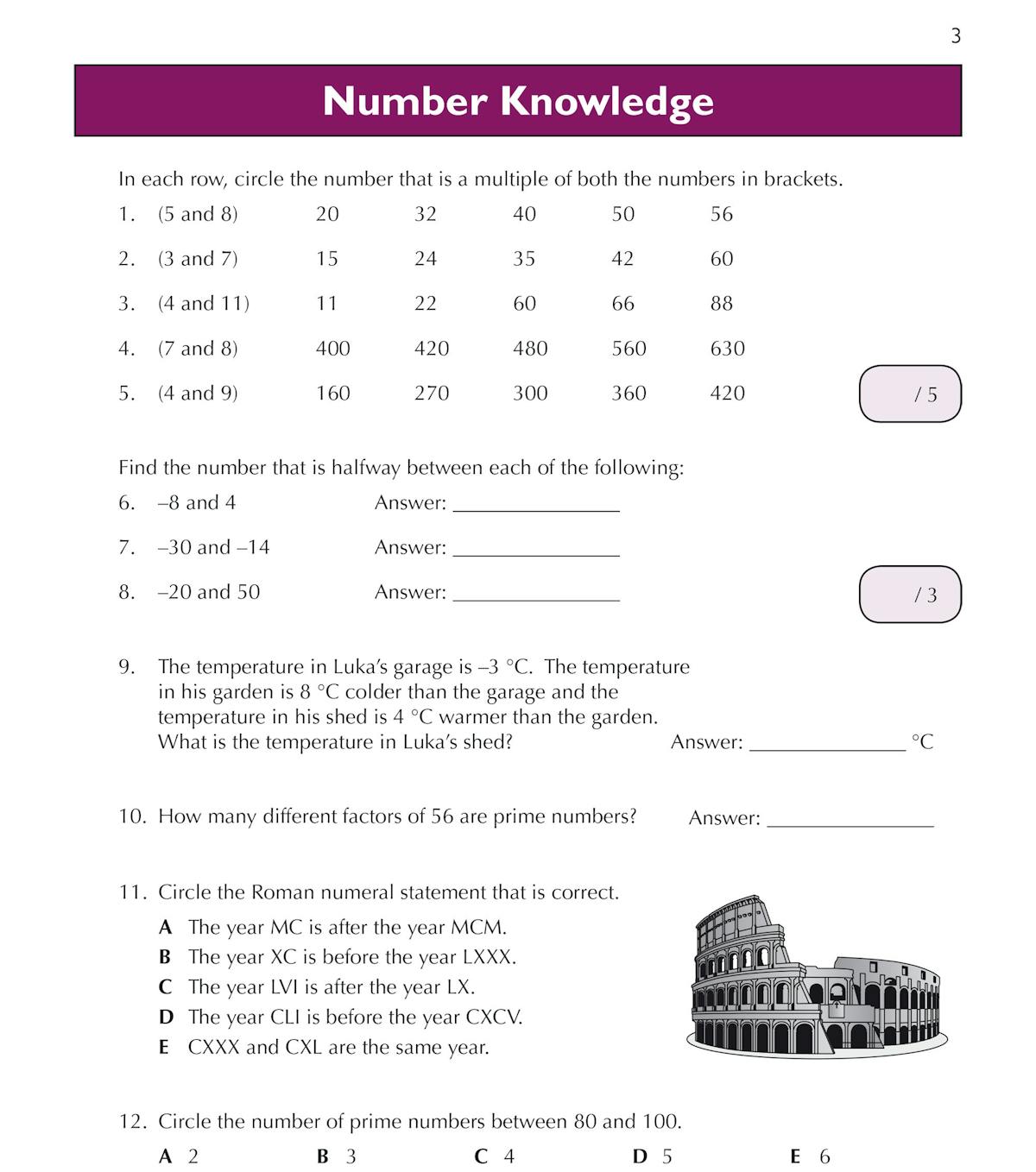 Sample pages showing place value and rounding questions with answer boxes and progress tracking