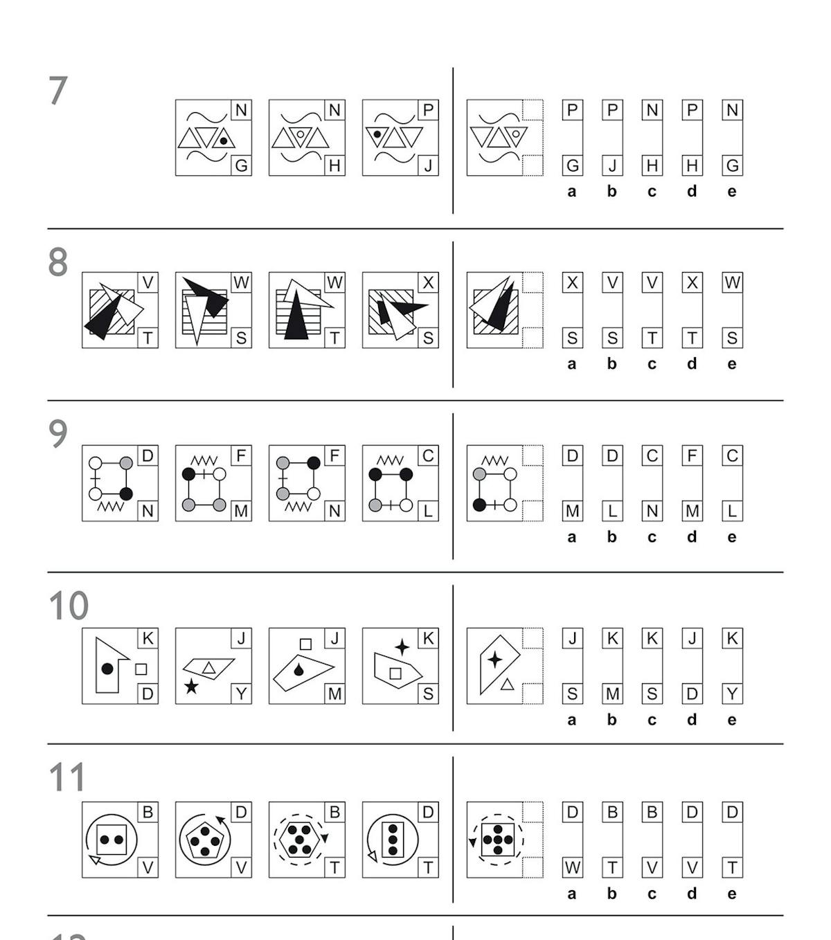 Sample page showing non-verbal reasoning questions with shapes, patterns and multiple-choice answers