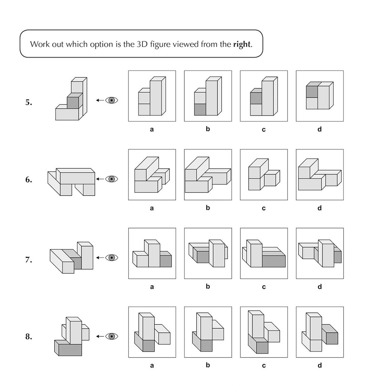 Example test page showing 3D shape viewpoint and perspective questions