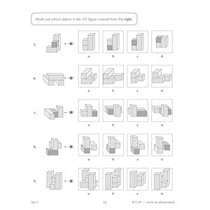 GL 11+ Spatial 10-Minute Tests (Ages 9-10) Look Inside Image 3