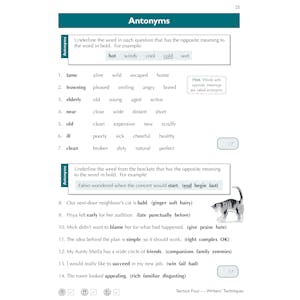 GL 11+ Workbook Pack (Ages 8-9) Look Inside Image 23