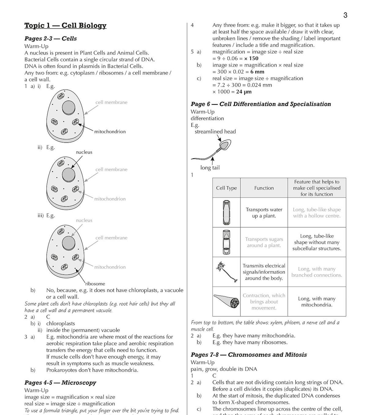 Sample page showing full worked answers for AQA GCSE Biology topics including cell biology, microscopy, chromosomes and mitosis