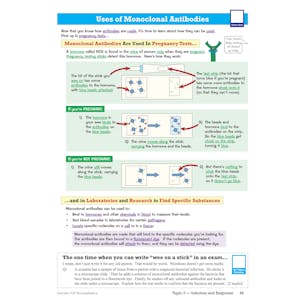 GCSE Biology AQA Higher Revision Guide Look Inside Image 9