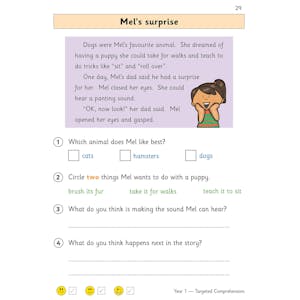 KS1 English Targeted Question Book: Year 1 Reading Comprehension - Book 2 Look Inside Image 5