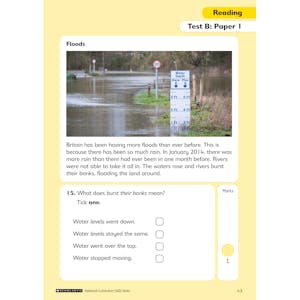 KS1 Reading SATs Practice Papers (Ages 6-7) Look Inside Image 1