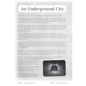 KS2 English Reading SAT Buster: Fiction - Book 1 (for the 2024 tests) Look Inside Image 3