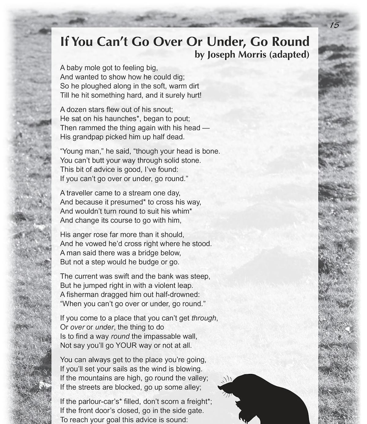 Full-page view of a KS2 poetry passage and glossary in CGP SAT Buster workbook