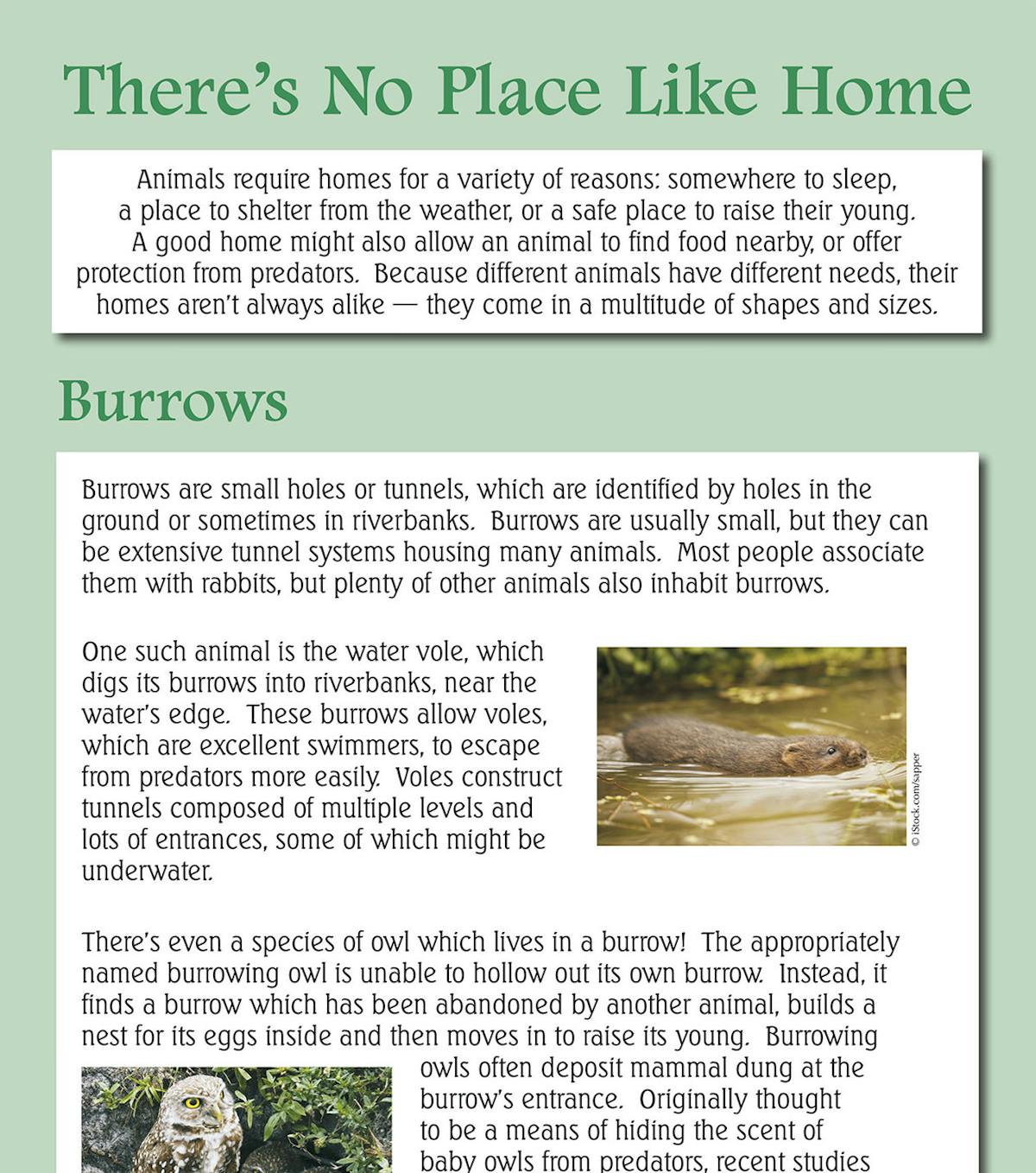 Reading comprehension practice paper showing a text about animal burrows and homes